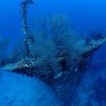 SHIPWRECKS